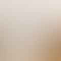 cheesecloth