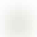 distilled white vinegar
