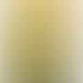 olive oil