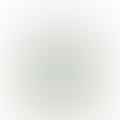 white vinegar