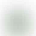 white vinegar