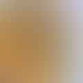 chicken broth