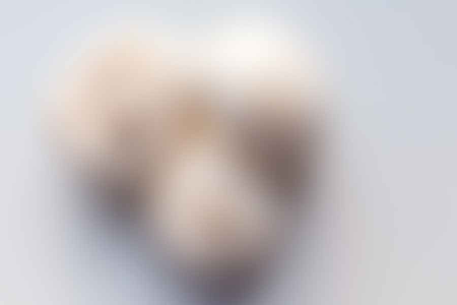 Button Mushrooms