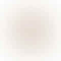 mustard seeds