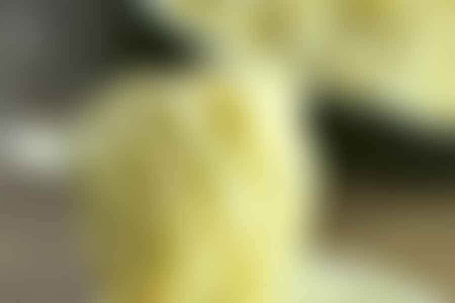 buttered pasta