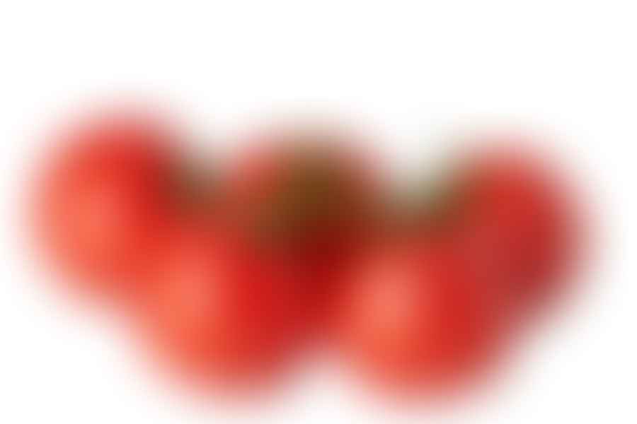 ripe tomatoes on vine